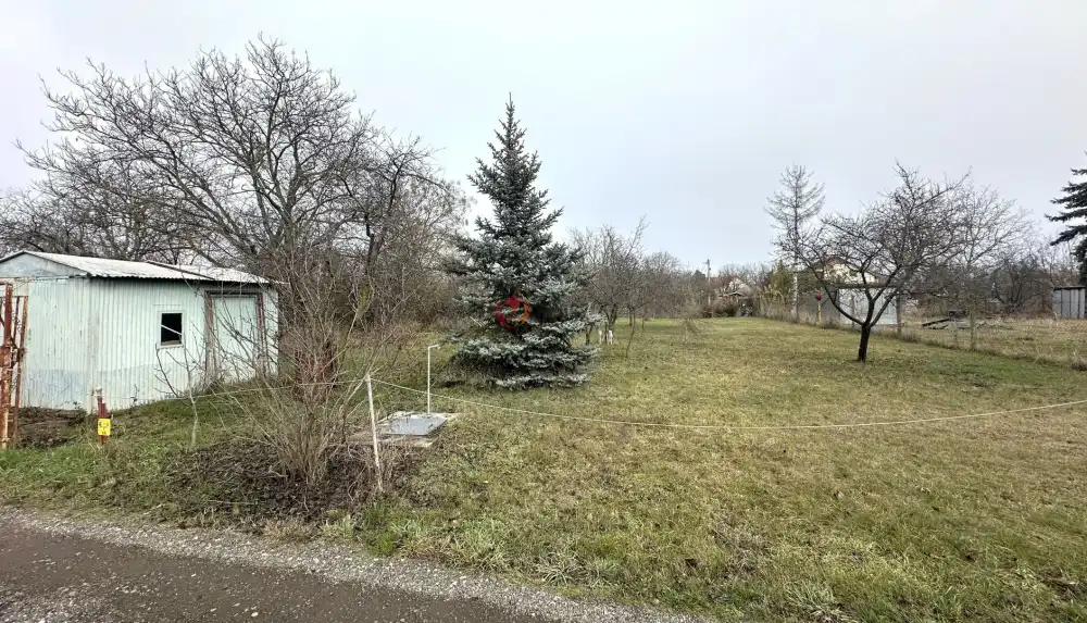 Csongrád megye - Szeged