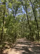 Nógrád megye - Szendehely