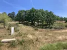 Nógrád megye - Szendehely
