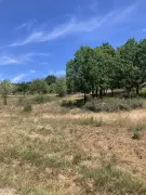 Nógrád megye - Szendehely