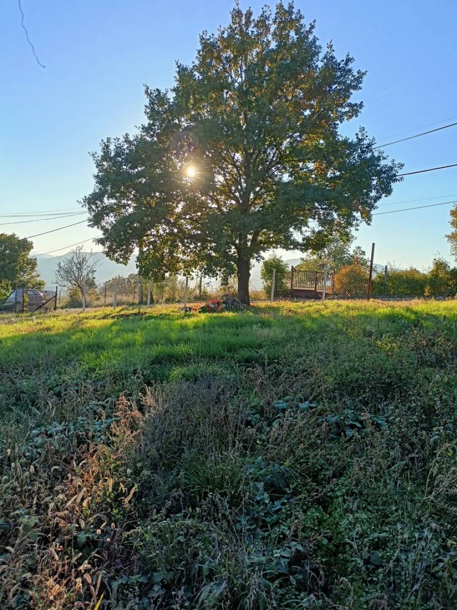 eladó  Építési telek, Szentendre