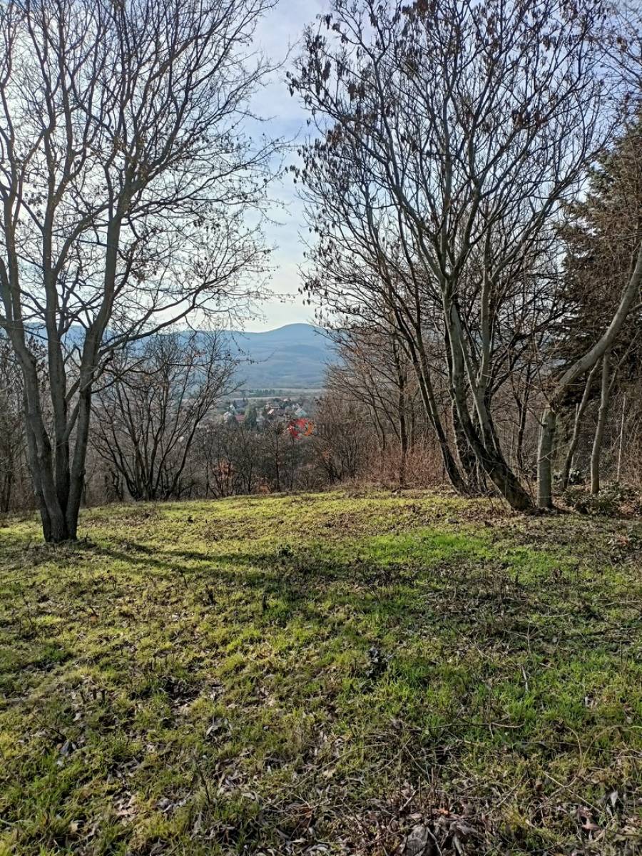 eladó  Építési telek, Szentendre