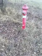 Pest megye - Szigetszentmiklós