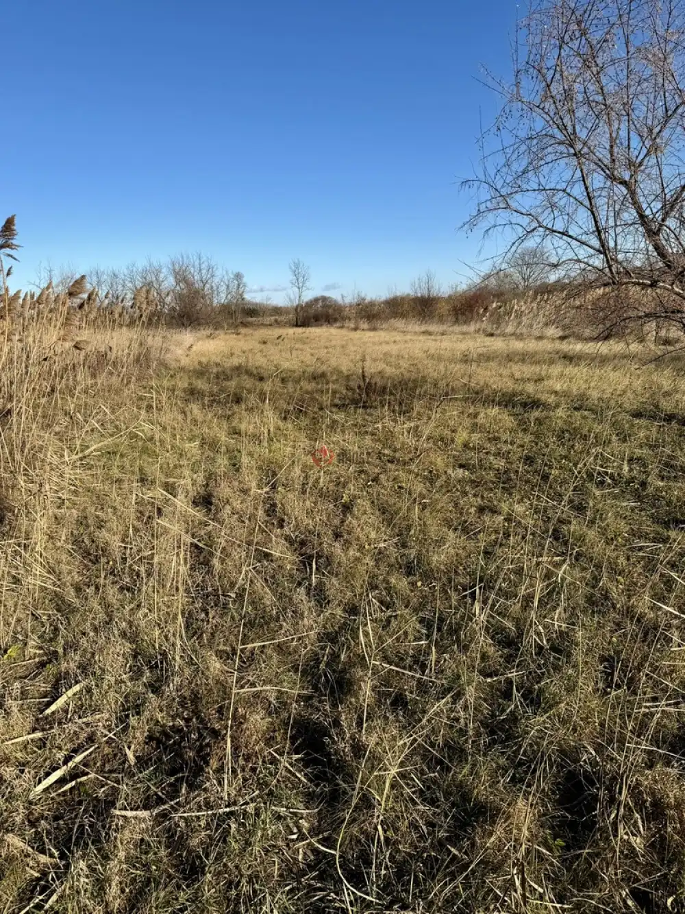 Pest megye - Szigetszentmiklós