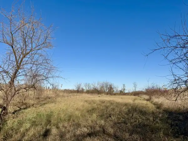 Eladó Építési telek, Szigetszentmiklós 998 m² 15 M Ft