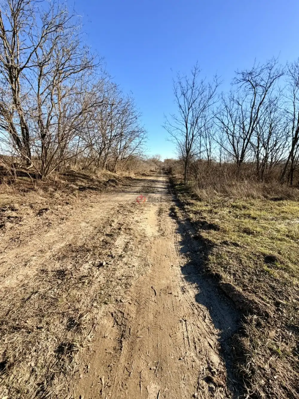 Pest megye - Szigetszentmiklós