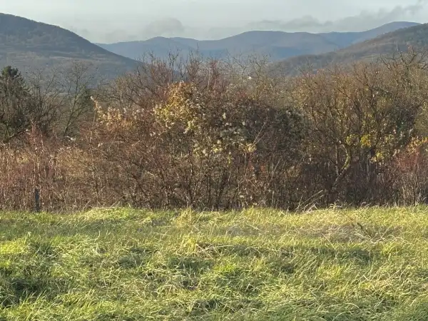 Eladó Építési telek, Szokolya 1334 m² 26.5 M Ft