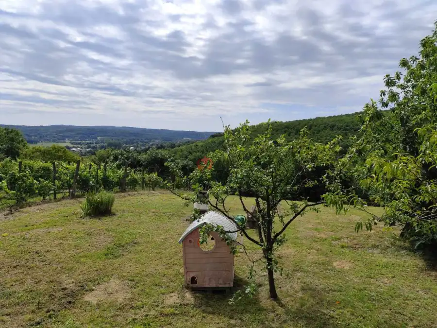 eladó  Építési telek, Zalaegerszeg