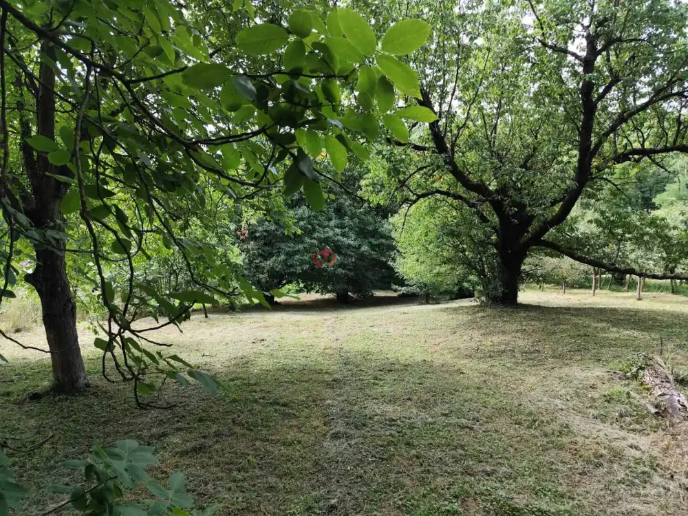 Zala megye - Zalaegerszeg
