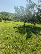 Borsod-Abaúj-Zemplén megye - Zsujta