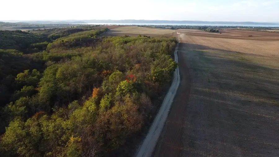 eladó  Erdő, Balatonendréd