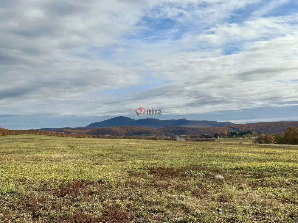 Nógrád megye - Berkenye