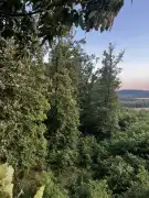 Nógrád megye - Berkenye