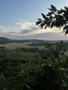 Nógrád megye - Berkenye
