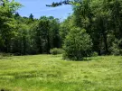 Vas megye - Felsőszölnök