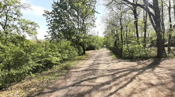 Eladó Erdő, Verőce 800 m² 19.9 M Ft
