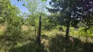 Fejér megye - Székesfehérvár