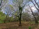 Vas megye - Kőszeg
