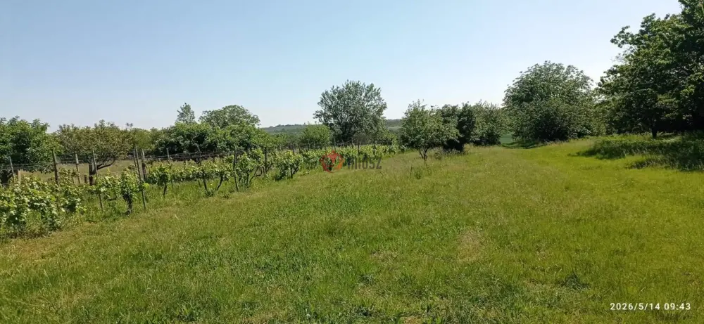 Baranya megye - Mohács