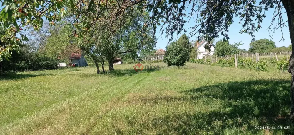 Baranya megye - Mohács