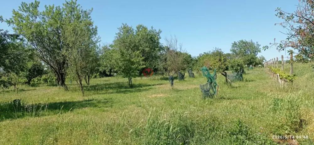 Baranya megye - Mohács