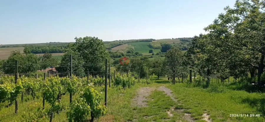 eladó  Gyümölcsös, Mohács