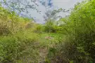 Pest megye - Nagymaros