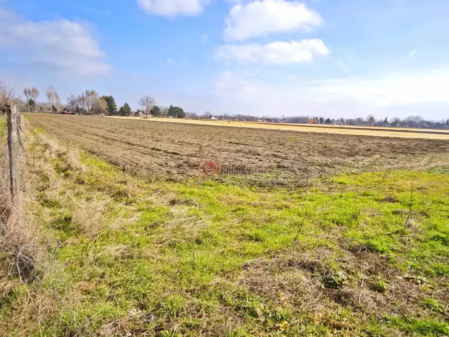 eladó  Gyümölcsös, Szatymaz