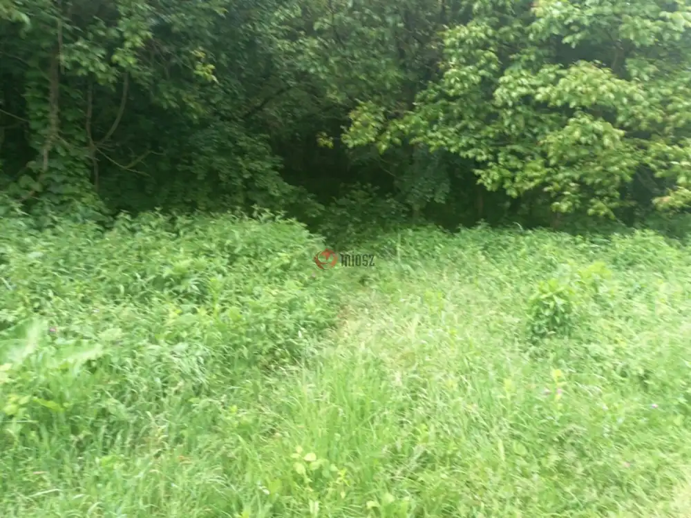 Pest megye - Vác