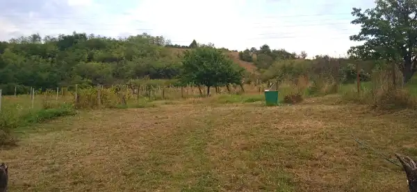 Eladó Gyümölcsös, Vác 6150 m² 26.9 M Ft