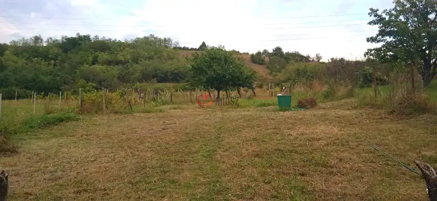 eladó  Gyümölcsös, Vác