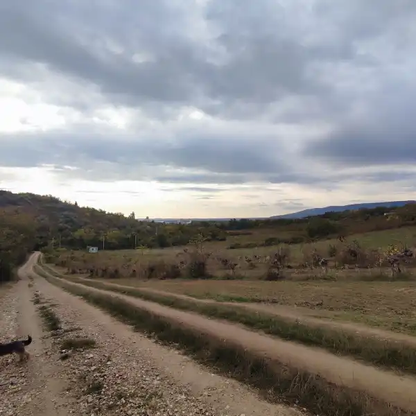 Eladó Gyümölcsös, Vác 813 m² 6 M Ft