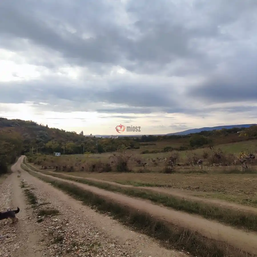 eladó  Gyümölcsös, Vác eladó  Gyümölcsös, Vác