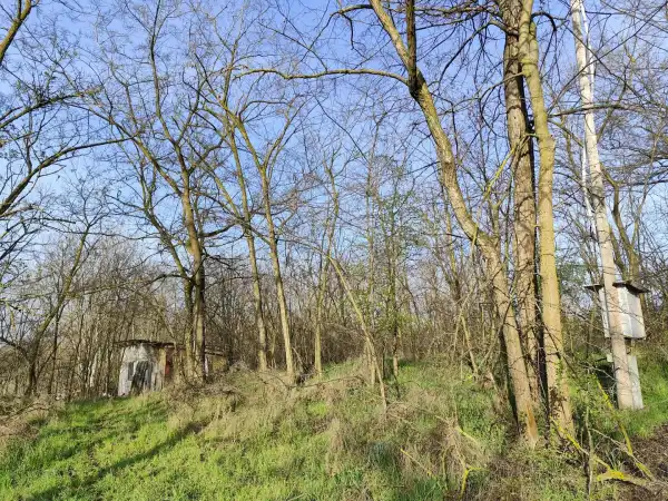 Eladó , Inárcs 2394 m² 14.99 M Ft