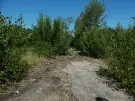 Komárom-Esztergom megye - Tatabánya