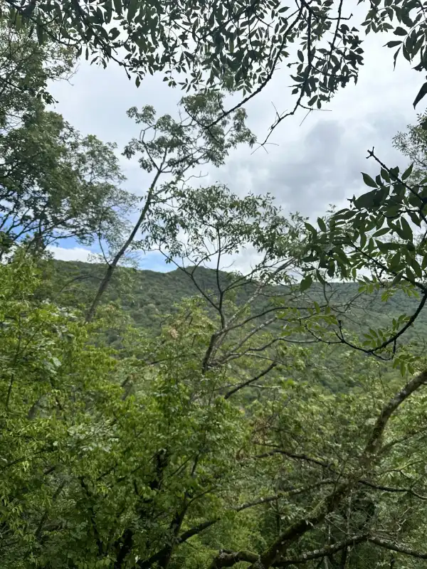 Eladó Ipari és kereskedelmi telek, Törökbálint 1 m² 37 M Ft