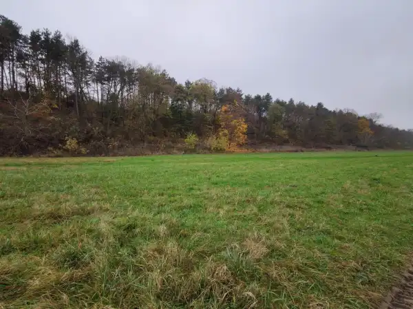 Eladó Legelő, Paks 85 m² 216.2 M Ft