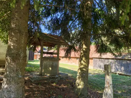 Eladó major, Kustánszeg 5208 m² 22.9 M Ft