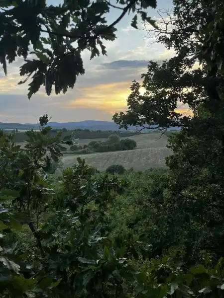 eladó mezőgazdasági ingatlan, Berkenye
