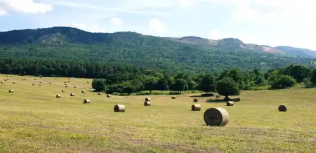 eladó mezőgazdasági ingatlan, Vác