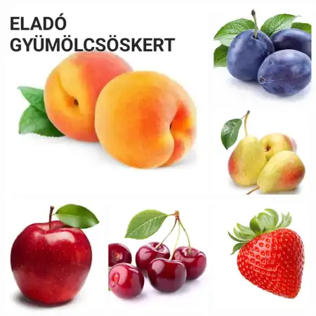 eladó mezőgazdasági ingatlan, Vác