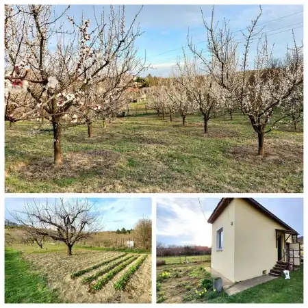 eladó mezőgazdasági ingatlan, Vác