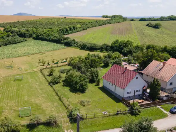 Eladó , Palotás 806 m² 5.9 M Ft