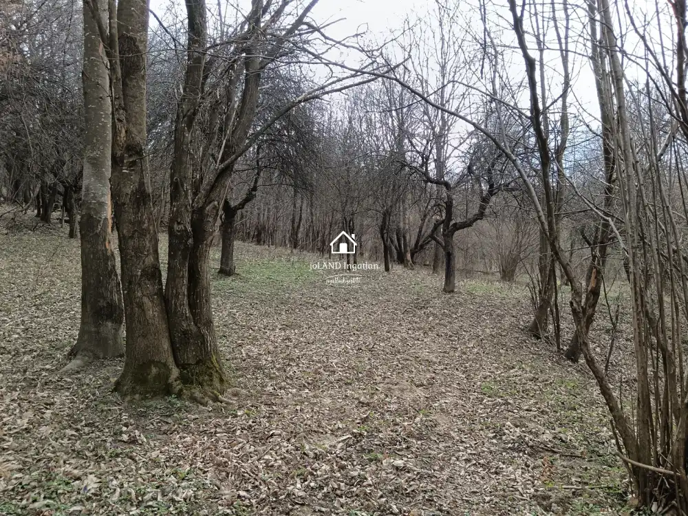 Zala megye - Pusztamagyaród