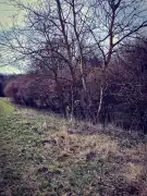 Zala megye - Pusztamagyaród