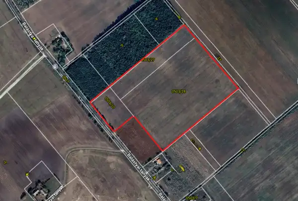 Eladó Szántó, Balástya 57412 m² 9.9 M Ft