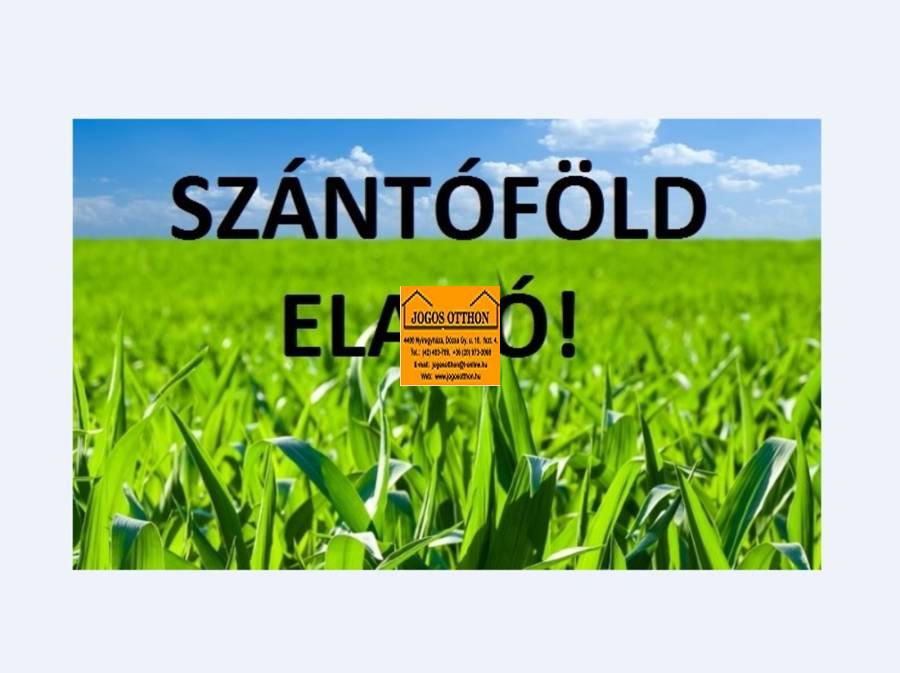 eladó  Szántó, Nyíregyháza