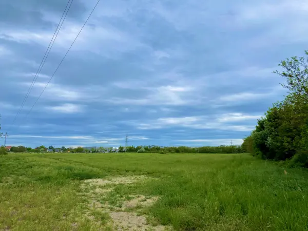 Eladó Szántó, Pomáz 4154 m² 6 M Ft