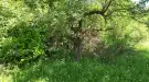 Pest megye - Vác