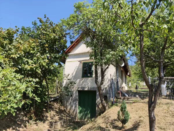 Eladó Szőlős, Alsónemesapáti 3419 m² 3.5 M Ft